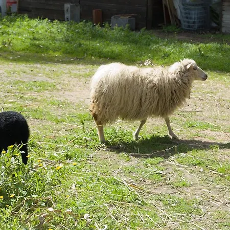 Emoyeni Alloggio per agriturismo *