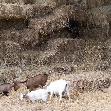 Alloggio per agriturismo Emoyeni